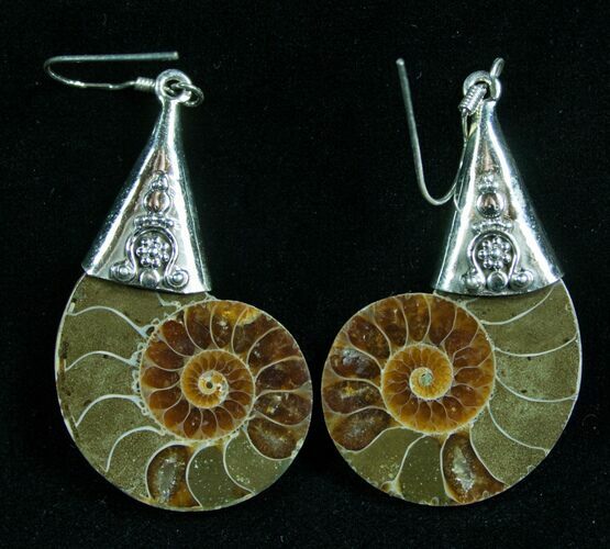 Stylish Ammonite Earrings - Sterling Silver #7674